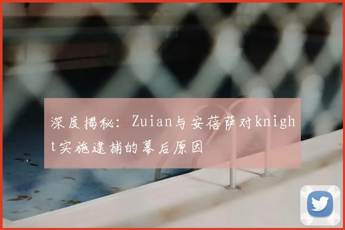 深度揭秘：Zuian与安蓓萨对knight实施逮捕的幕后原因